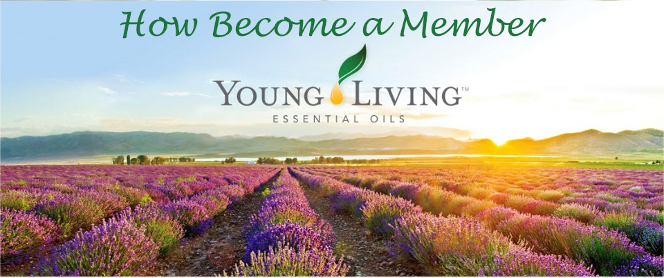 How To Become A Young Living Member